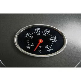 LUND Elektrogrill 2in1 2400 Watt silber schwarz