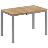 Vicco Granny 120 x 76 x 70 cm Eiche grau