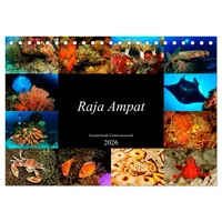 Calvendo Raja Ampat - Faszinierende Unterwasserwelt (Tischkalender 2026 DIN