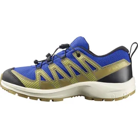 Salomon XA PRO V8 Kinder Blau/Schwarz 31