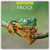 Brown trout-auslieferer flechsig Frogs - Frosch - Frösche 2026