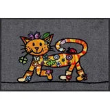 Salonloewe Funky Cat 050x075 cm Fußabtreter Sauberlaufmatte innen Haustür Fussmatte Indoor Schmutzfänger Outdoor waschbar