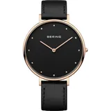 BERING Classic 14839-462