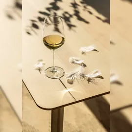 Schott Zwiesel VUELO Weißweinglas 0,517 l 6-tlg.