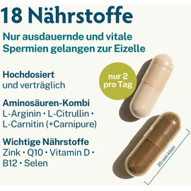 MascuPRO Fertilität Kapseln 60 St.