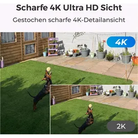 Reolink NVS8-8MB4 Weiß