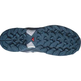 Salomon X Ultra 360 GTX Herren Carbon / India Ink / Deep Dive 44 2/3