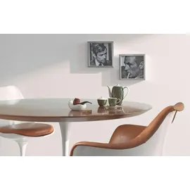 Alpina Nikotinsperre 5 l weiß matt