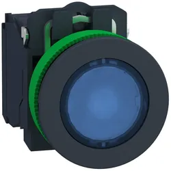 SCHNEIDER ELECTRIC Leuchtdrucktaster XB5FW36M5
