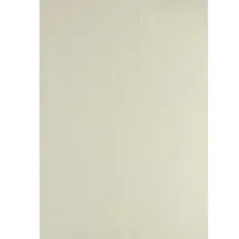 Clairefontaine 2704C Text & Cover, A4, Lederkarton, beige, 270 g/m2, 100 Blatt, Ledergeprägt Creme