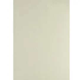 Clairefontaine 2704C Text & Cover, A4, Lederkarton, beige, 270 g/m2, 100 Blatt, Ledergeprägt Creme