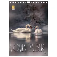 Calvendo Verlag GmbH Moment Zauber (Wandkalender 2025 DIN A4