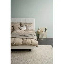 Schöner Wohnen Wendebettwäsche Uni Beige 200 x 200 cm + 2 x 80 x 80 cm