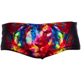 Funky Trunks Sidewinder Badehose Boxer - Pride Alive - AUS 34