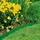 Gardena Raseneinfassung 17 x 9 cm 9 m grün