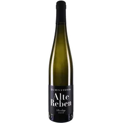 Markus Schneider Riesling Alte Reben 2022