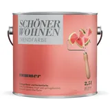 Schöner Wohnen FARBE Dispersionsfarbe Trendfarbe Jubiläumsedition Summer, matt, 2,5 l