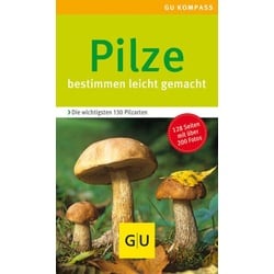 Pilze