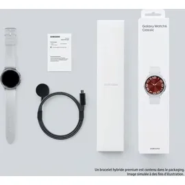Samsung Galaxy Watch6 Classic Silver 43 mm BT Sport Band Silver S/M