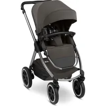 ABC-Design ABC Design Sportwagen Samba 2 Almond Aluminium
