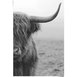 Poster REINDERS "Poster Highlander Bulle", schwarz (farbe bild(er): schwarz), B:61cm H:91,5cm, Papier, Bilder