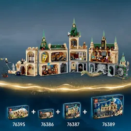 LEGO Harry Potter Hogwarts: Begegnung mit Fluffy 76387