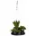Ecopots Hanging Saucer Ø 36 x 3 cm Dunkelgrau