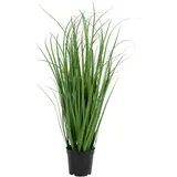 tinkaro Poa-Gras, Grün, Kunststoff, 68 cm, Dekoration, Blumen & Zubehör, Kunstpflanzen