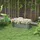 Outsunny Hochbeet 105 x 62 x 30 cm Silber