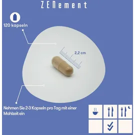 Zenement Tribulus Terrestris und Schwarze Maca Kapseln 120 St.