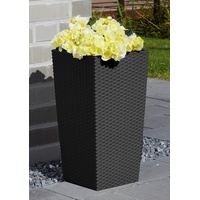 Prosperplast Rato Square 33 x 33 x 61 cm anthrazit