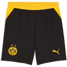 Puma Borussia Dortmund Shorts 2026/27 schwarz Herren Gr. XL