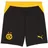 Puma Borussia Dortmund Shorts 2026/27 schwarz Herren Gr. XL