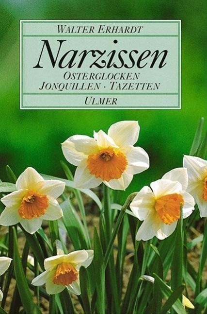 Narzissen - Walter Erhardt  Gebunden