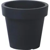Prosperplast Lofly 58,2 x 58,2 x 52,3 cm Anthrazit