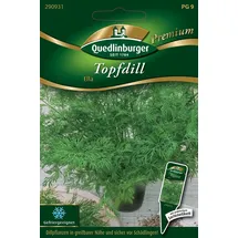 Quedlinburger Topfdill Ella