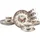 CreaTable Haydon Grove Bunt Kaffeeservice 18-tlg. mehrfarbig