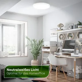 Briloner LED-Panel 1 flg. 29x3 cm weiß