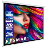 eSmart Economy EXR Rollo Leinwand 240 240 (134") 1:1