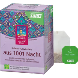 Kräuter-Gewürztee aus 1001 Nacht Bio Salus Fbtl. 15 St
