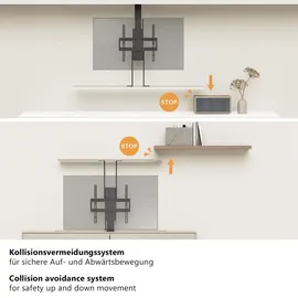 My Wall myWall HP 66-3 224 m 88"), Schwarz