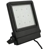 Showtec Cedda 100 W heller weißer LED-Flutlichtstrahler