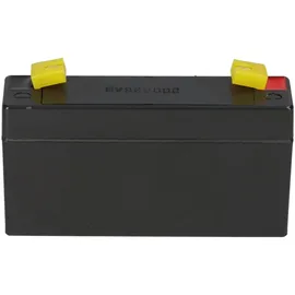 KungLong WP1.2-6 6V 1200 mAh 1 St.
