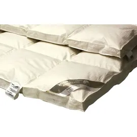 Betten Hofmann Hofmann Franken Daunenbett Daunendecke 6x7, 240x220 5 cm Außensteg 100% Daunen - Schwarz