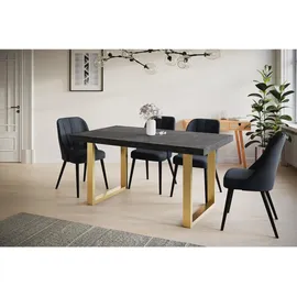 alpi möbel LOFT-U 160-260 x 77 x 90 cm dunkelgrau/gold