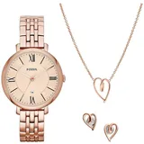 Fossil Jacqueline,