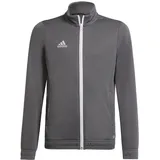 Adidas Entrada 22 Trainingsjacke Kinder