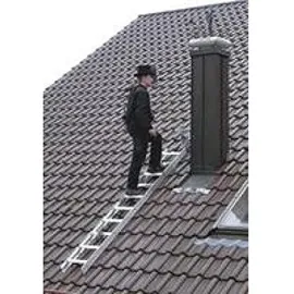 Günzburger Dachleiter 7 Sprossen Alu