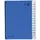 Pagna Pultordner DIN A4 32 mm Blau 1 St.