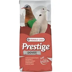 Vers 20kg Turteltauben